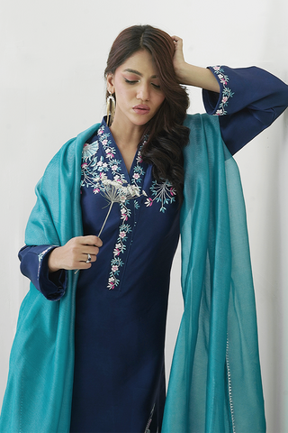 Pariwash Blue