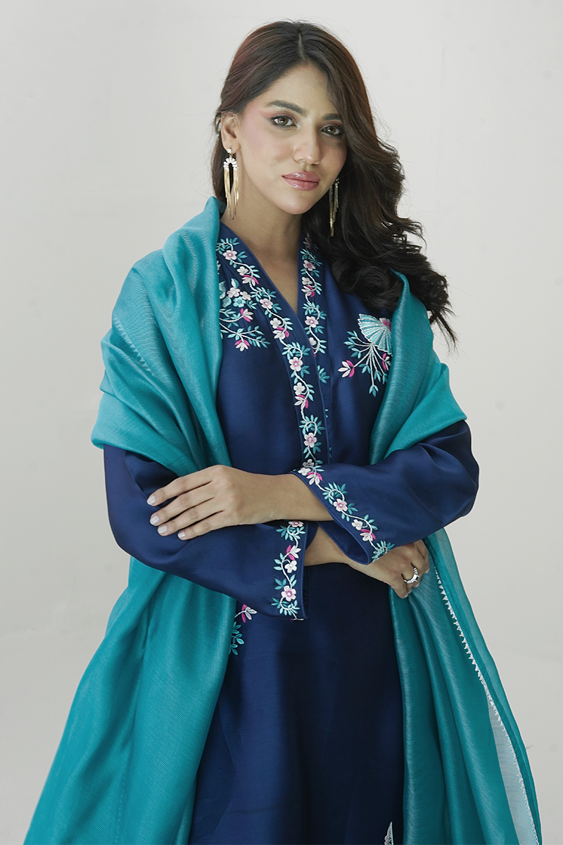 Pariwash Blue