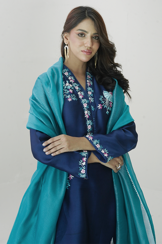 Pariwash Blue