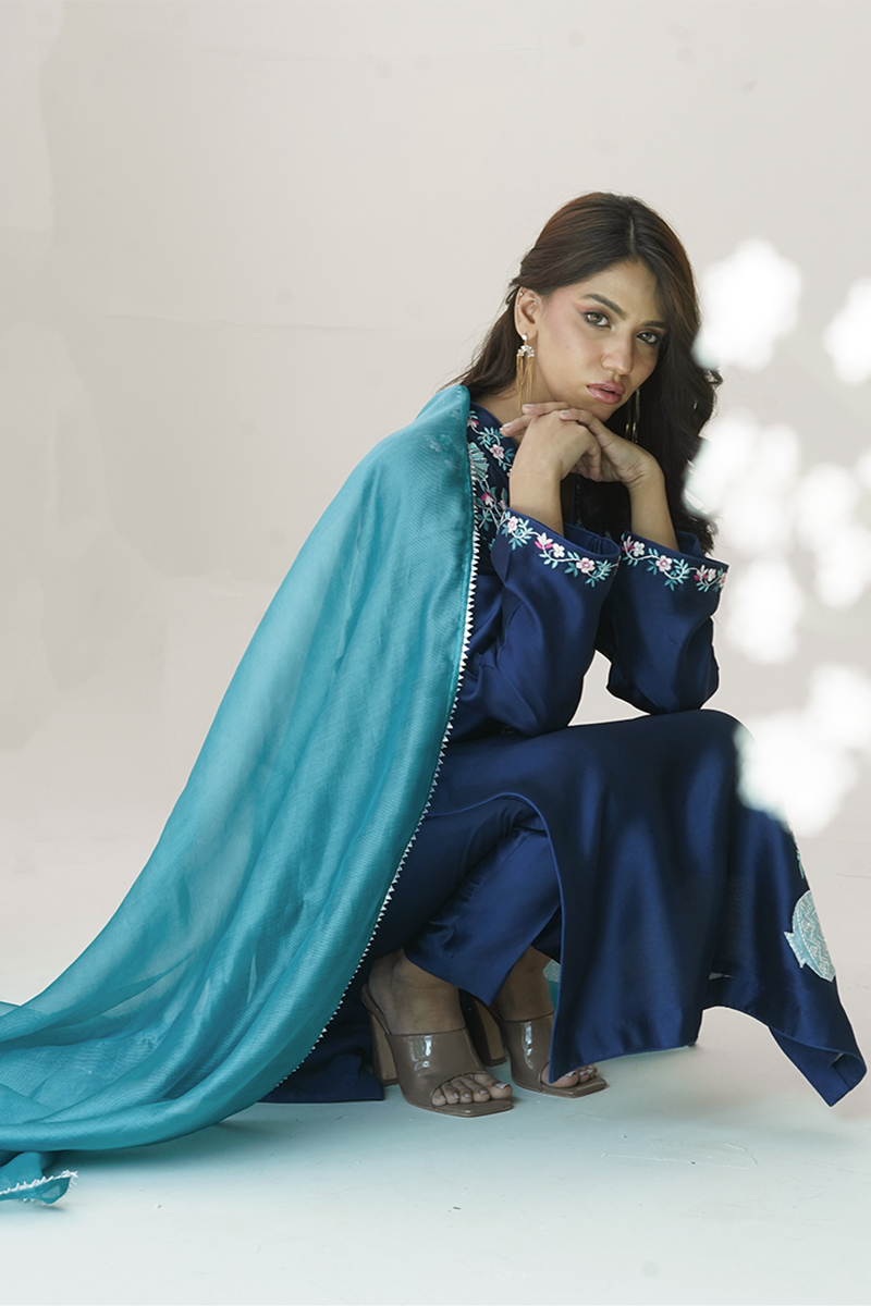 Pariwash Blue