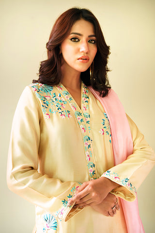 Pariwash Beige - gulenoor