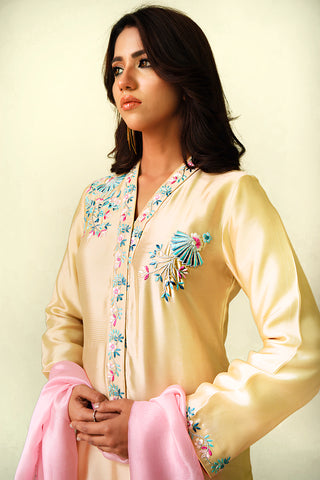 Pariwash Beige - gulenoor