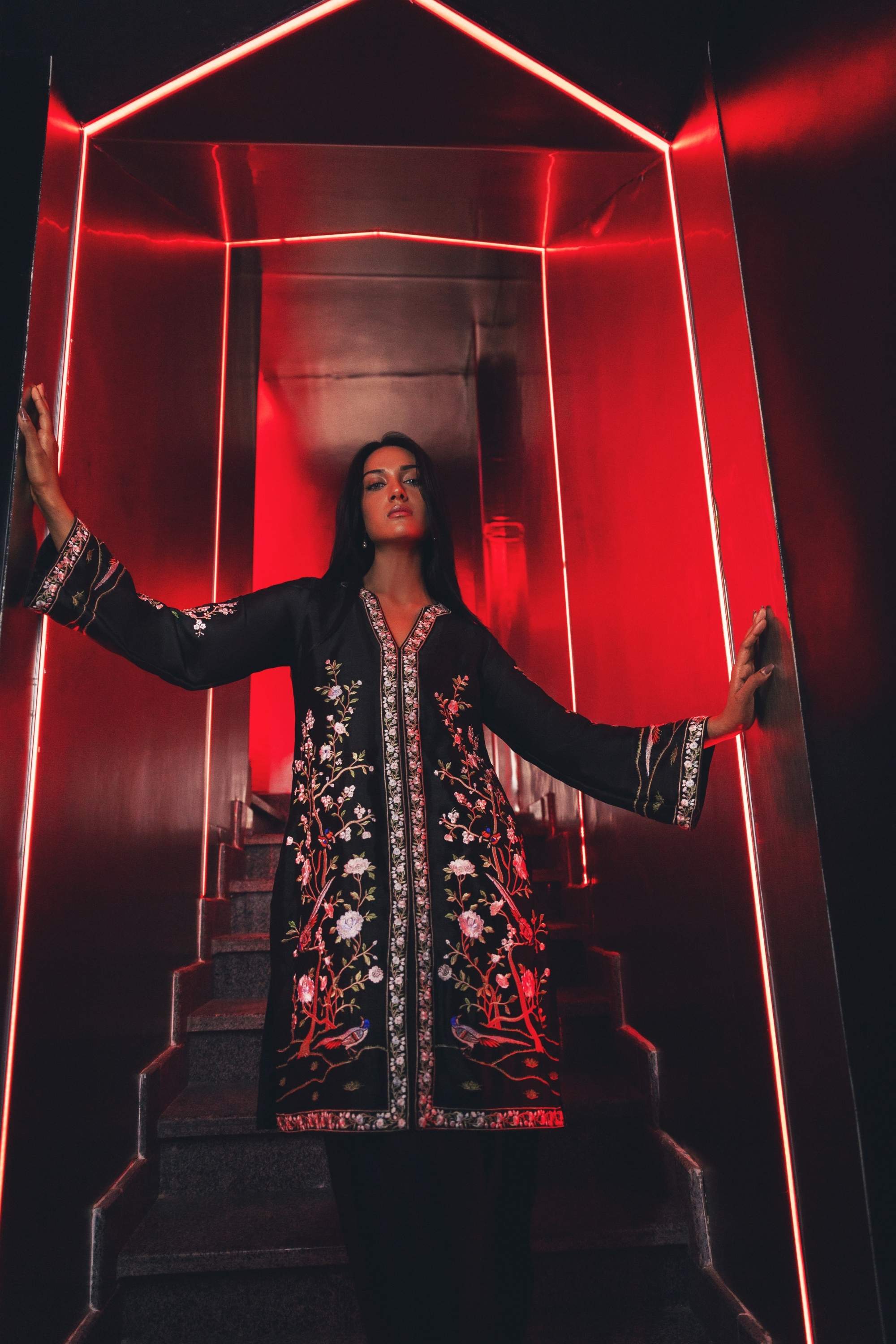 Midnight Birds - gulenoor