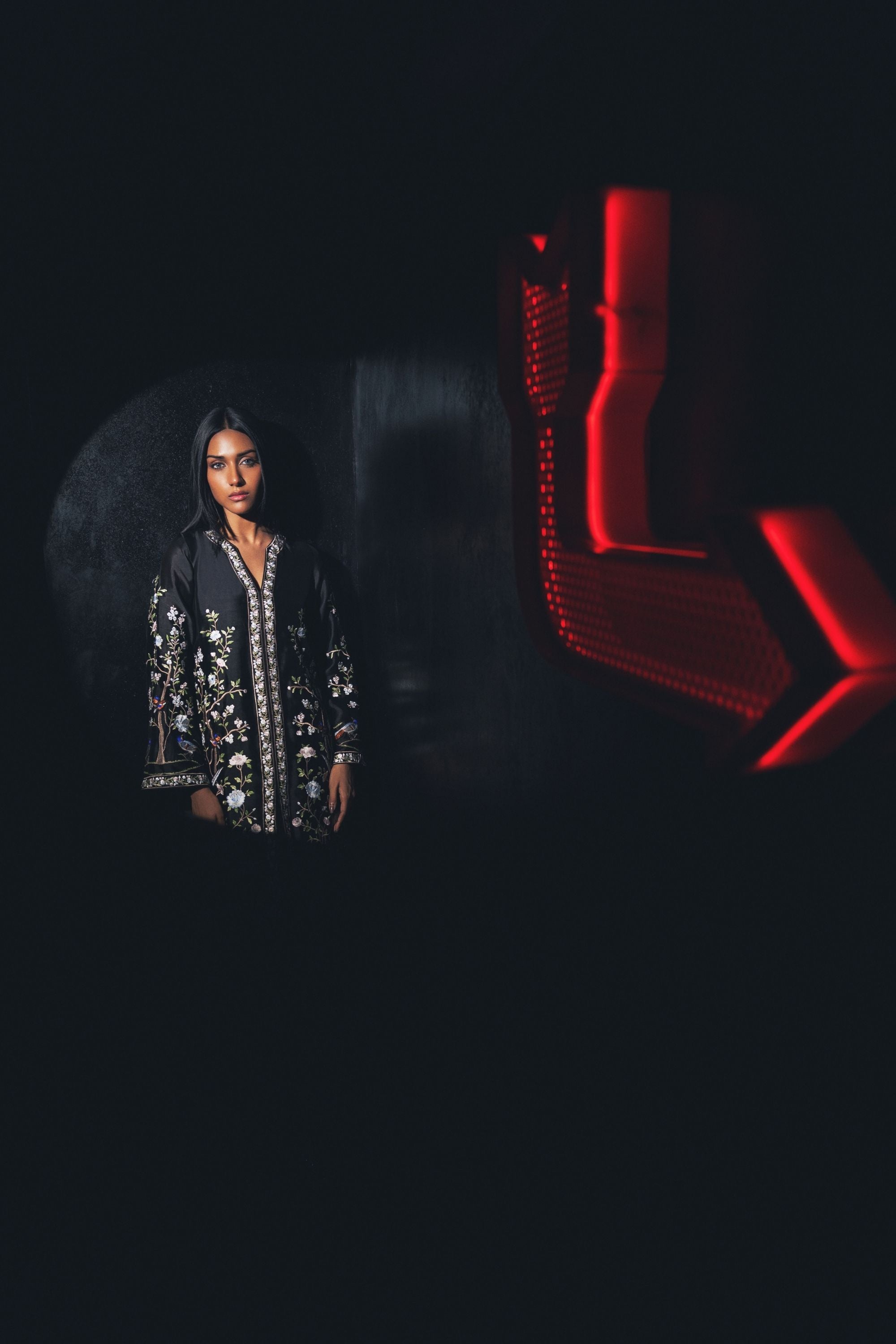 Midnight Birds - gulenoor